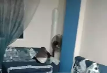 Apartments For sale - 2 rooms - floor 2