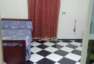 شقق للبيع - 3 غرف - بالدور 3