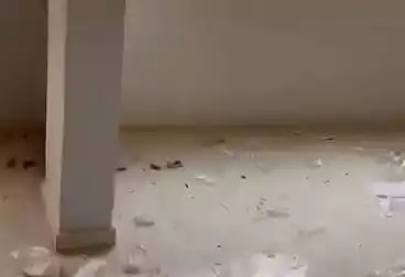 Apartments For rent - 2 rooms - floor 5