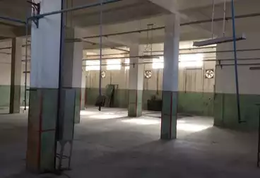مصنع للإيجار