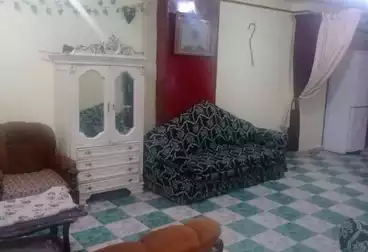 شقق مفروشة للإيجار - 2 غرف - بالدور 1
