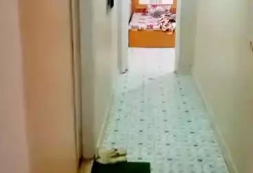 undefined undefined - 3 rooms - floor 1