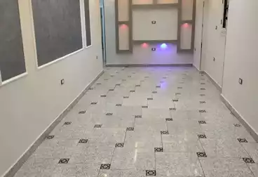 undefined undefined - 3 rooms - floor 1