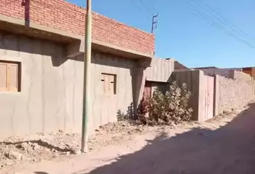 منزل / بيت للبيع