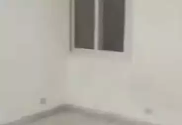 Properties For rent - 3 rooms - floor 2