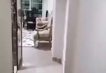 Furnished Apartment For sale - 3 rooms - floor 1