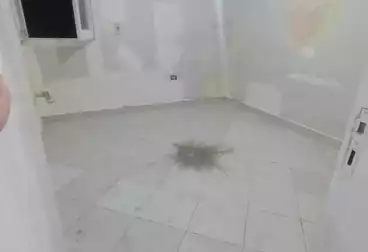 Properties For rent - 3 rooms - floor 9