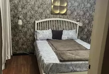Furnished Apartment For rent - 2 rooms - floor 9