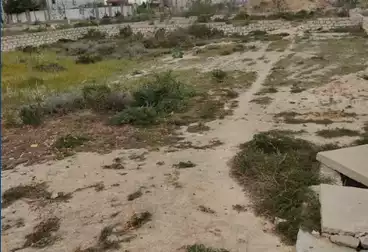 أراضي للبيع