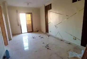 عقارات للإيجار - 3 غرف - بالدور 11