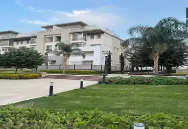 شقق للبيع - 4 غرف - بالدور 0