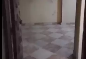 Apartments For sale - 3 rooms - floor 1