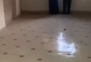 undefined undefined - 2 rooms - floor 9