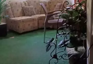Chalet with Garden For sale - 2 rooms - floor 0