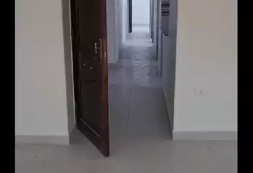 Apartments For rent - 3 rooms - floor 3