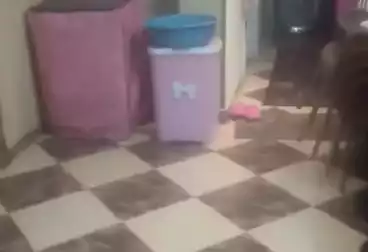 undefined undefined - 1 rooms - floor 5