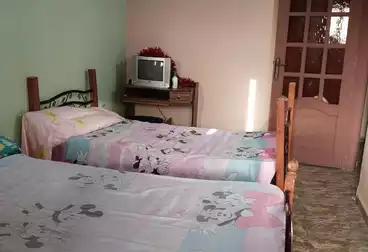 Properties For rent - 2 rooms - floor 11
