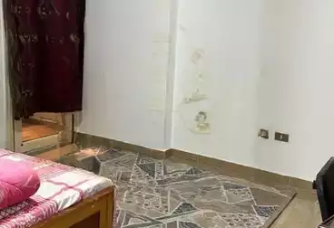 شقق مفروشة للإيجار - 3 غرف - بالدور 3