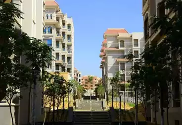 undefined undefined - 3 rooms - floor 1
