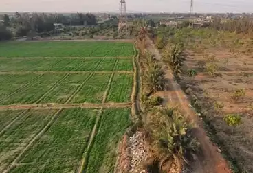 Farm For sale