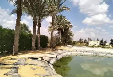 أرض زراعية للبيع