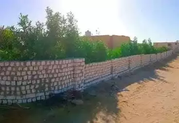 أرض زراعية للبيع