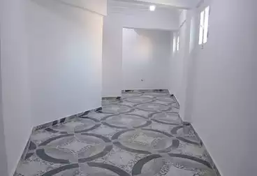شقق للبيع - 2 غرف - بالدور 1