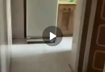 Properties For rent - 2 rooms - floor 5