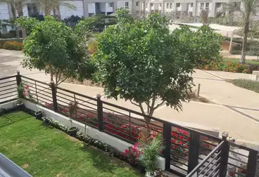 Apartments For rent - 3 rooms - floor 0