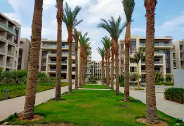 Apartments For rent - 3 rooms - floor 3