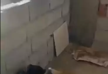 undefined undefined - 2 rooms - floor 8