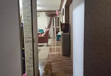 Apartments For sale - 3 rooms - floor 12