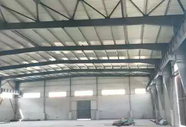 مصنع للإيجار