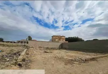 أرض مباني سكنية للبيع