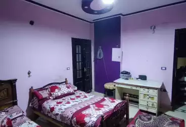 undefined undefined - 3 rooms - floor 3