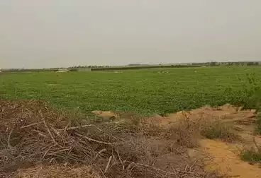 أرض زراعية للبيع