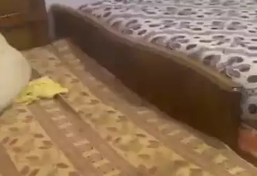undefined undefined - 2 rooms - floor 4