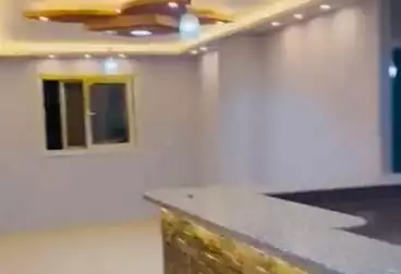 undefined undefined - 3 rooms - floor 1