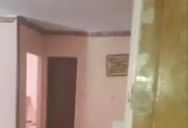 undefined undefined - 2 rooms - floor 1