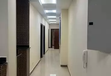 شقق للإيجار - 4 غرف - بالدور 0