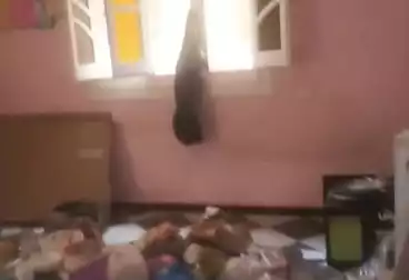 undefined undefined - 3 rooms - floor 1