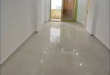 Apartments For rent - 2 rooms - floor 5