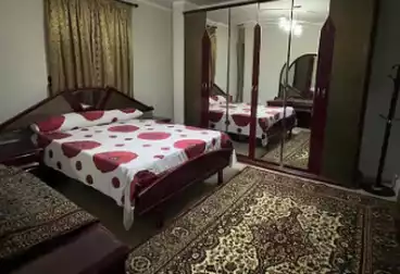 Furnished Apartment For rent - 2 rooms - floor 3