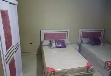 عقارات للإيجار - 3 غرف - بالدور 5