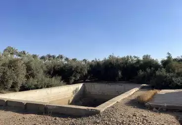 أرض زراعية للبيع