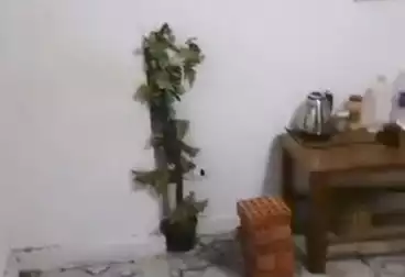 Studio For sale - 1 rooms - floor 1