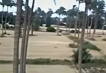 أرض زراعية للبيع