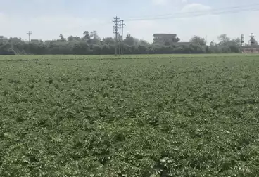 Farm For sale