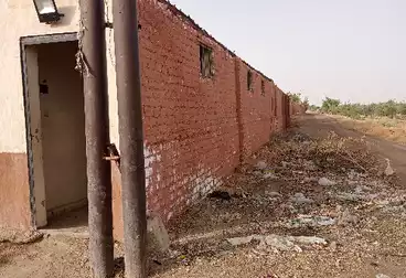 Farm For sale