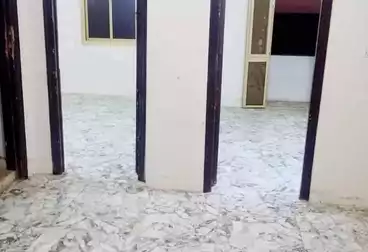 Apartments For sale - 3 rooms - floor 1